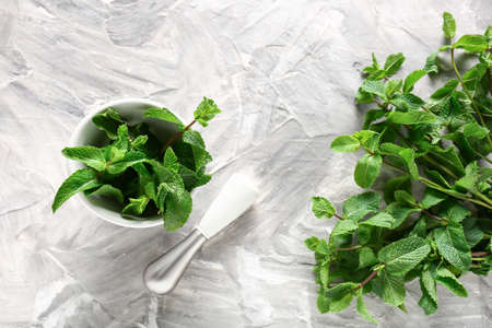 Mortar with mint and pestle on light backgroundの写真素材