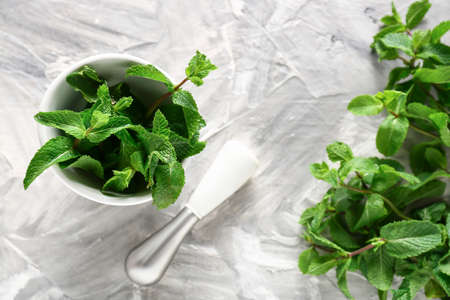 Mortar with mint and pestle on light backgroundの写真素材
