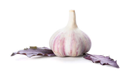 Fresh garlic on white backgroundの写真素材