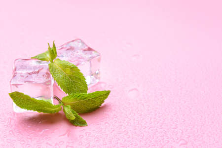 Ice cubes and mint on color backgroundの写真素材