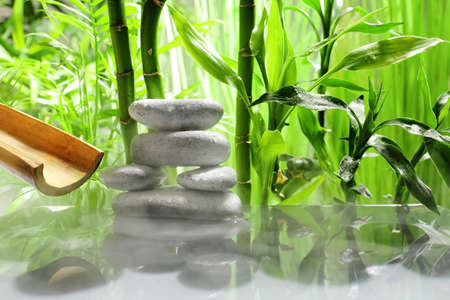 Lake with stack of spa stones in tropical gardenの写真素材