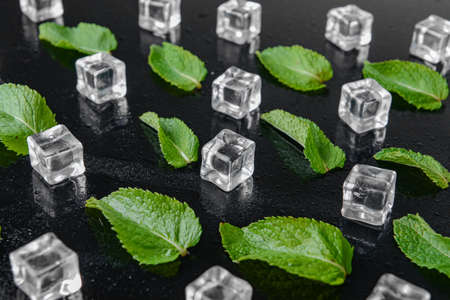 Ice cubes and mint on dark backgroundの写真素材
