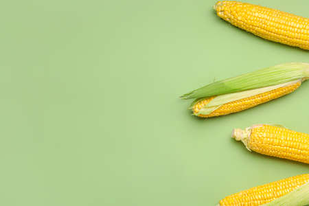 Fresh corn cobs on color backgroundの写真素材