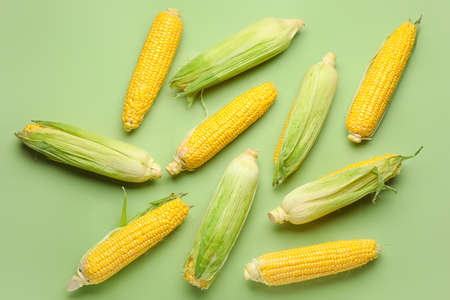 Fresh corn cobs on color backgroundの写真素材