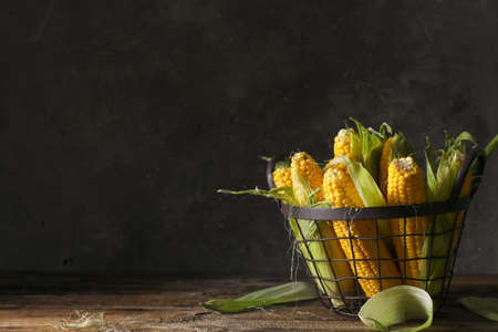 Basket with fresh corn cobs on table