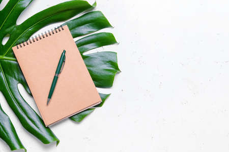 Notebook with pen on light backgroundの写真素材