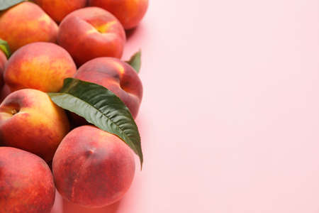 Many ripe peaches on color background