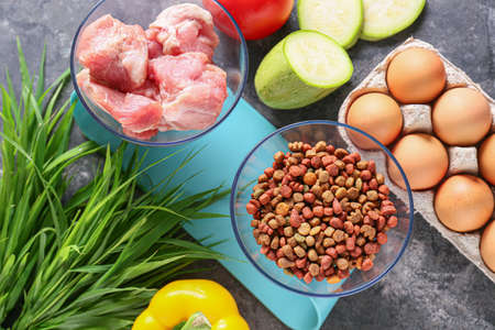 Dry and fresh pet food on gray backgroundの写真素材