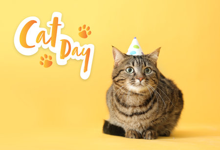 Cute cat in party hat on color background. International cat dayの写真素材
