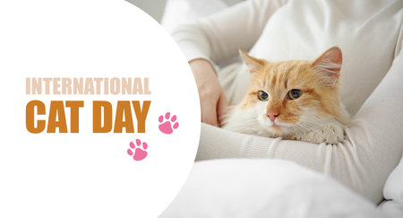 Woman with cute cat in bed. International cat dayの写真素材
