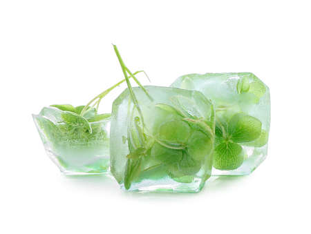 Frozen flowers in ice on white backgroundの写真素材