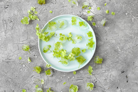 Plate with frozen flowers in ice on gray backgroundの写真素材