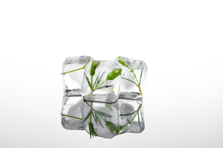 Frozen leaves in ice on white backgroundの写真素材