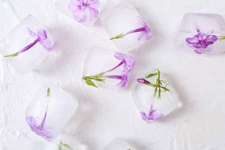 Frozen flowers in ice on white backgroundの写真素材