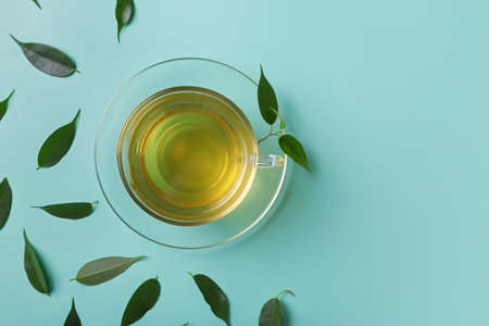 Cup of tea and green leaves on color backgroundの写真素材