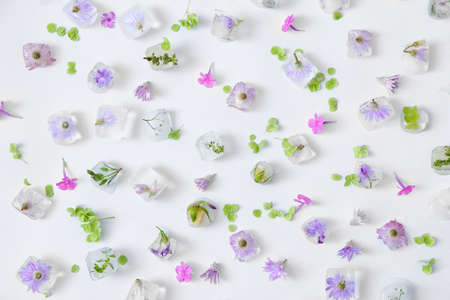 Beautiful flowers frozen in ice on light backgroundの写真素材