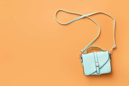 Stylish bag on color background