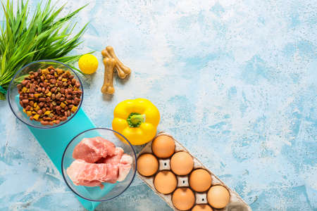 Dry and fresh pet food on color backgroundの写真素材