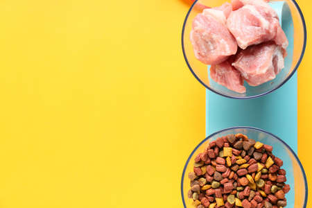 Dry and fresh pet food on color backgroundの写真素材