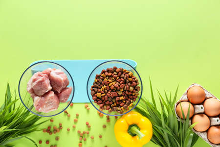 Dry and fresh pet food on color backgroundの写真素材