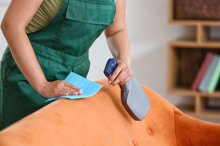 Dry cleaner's employee removing dirt from sofa in houseの写真素材