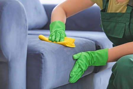 Dry cleaner's employee removing dirt from sofa in houseの写真素材