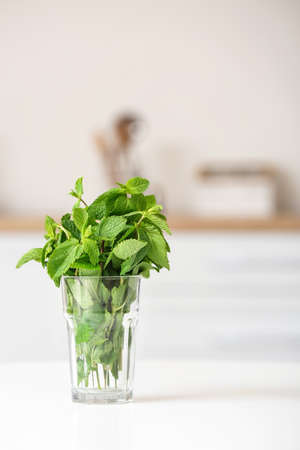 Glass with fresh mint on table in kitchen