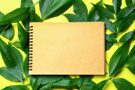 Green ash leaves and notebook on color backgroundの写真素材