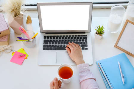 Young woman working on modern laptop in officeの写真素材