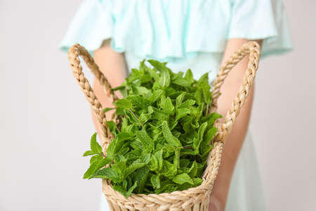 Young woman with basket of fresh mint on white backgroundの写真素材