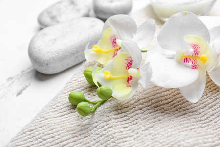 Beautiful spa composition on light backgroundの写真素材