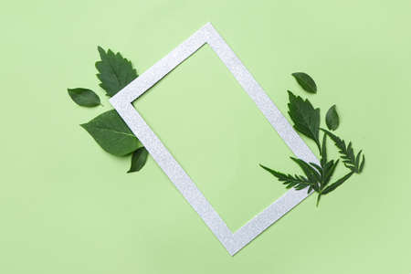 Frame with green leaves on color backgroundの写真素材