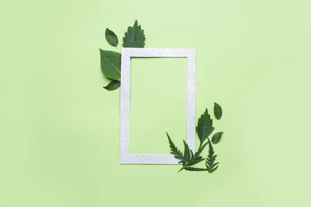 Frame with green leaves on color backgroundの写真素材