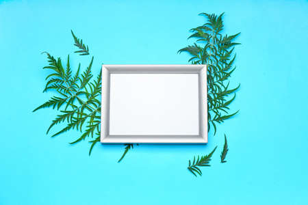 Empty frame with green leaves on color background