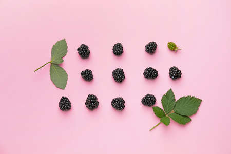 Ripe tasty blackberry on color background