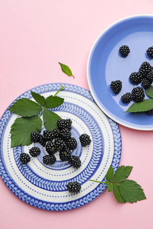 Ripe tasty blackberry on color backgroundの写真素材