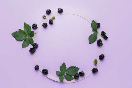 Frame made of ripe tasty blackberry on color background