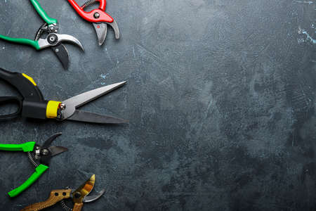 Pruners for gardening on dark background