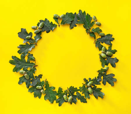 Frame made of green oak leaves on color backgroundの写真素材