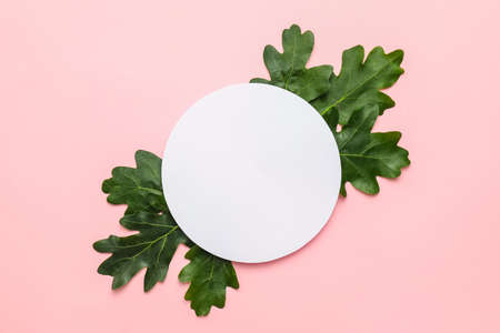 Green oak leaves and blank card on color backgroundの写真素材