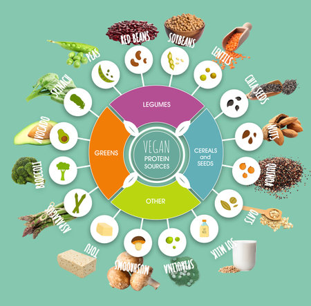 Set of vegan sources of protein on color backgroundの写真素材