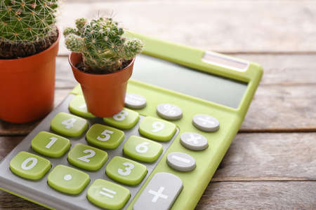 Modern calculator and cactus on wooden background, closeupの写真素材