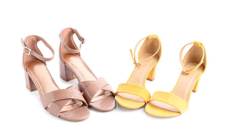 Stylish female shoes on white background
