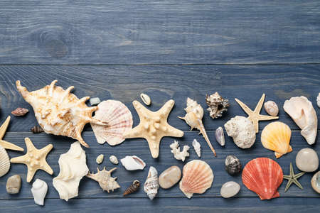 Marine decor on dark wooden background