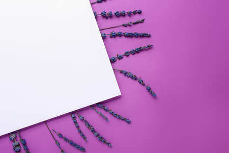 Beautiful lavender flowers and blank card on color backgroundの写真素材