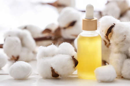 Bottle of essential cottonseed oil on tableの写真素材