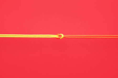 Ropes with knot on color backgroundの写真素材
