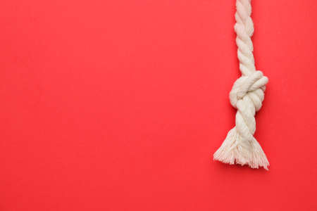 Rope with knot on color backgroundの写真素材