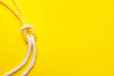Ropes with knot on color backgroundの写真素材