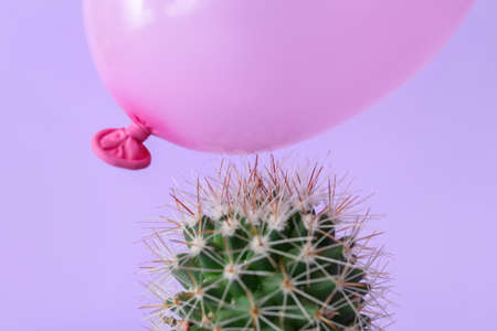 Cactus and air balloon on color backgroundの写真素材